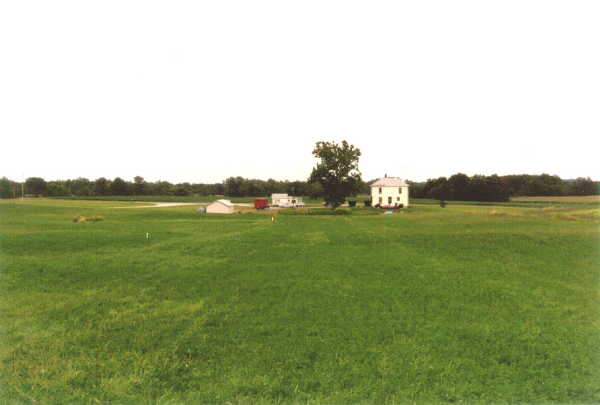 looking east from the confluence