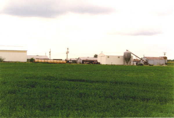 looking northeast from the confluence