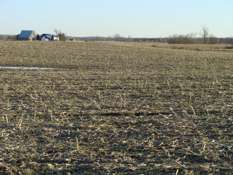 Looking south from 40N 85W