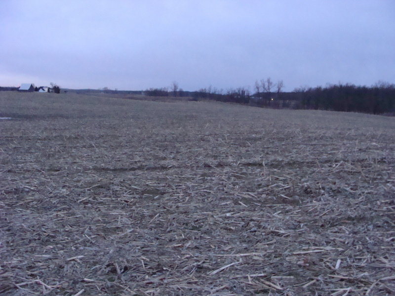 Looking south