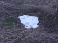#8: The remains of last week’s snow, sheltered in a slight depression