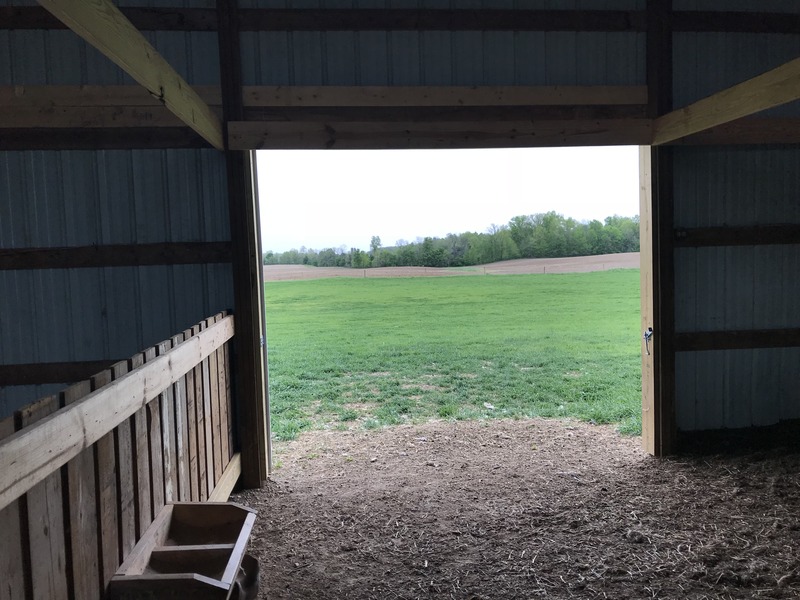 Looking out the barn door straight at the confluence in the mid distance. 