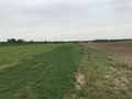 #5: View to the east from the confluence point. 