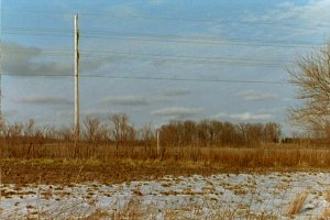 #1: Clouds over a cornfield