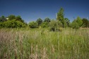 #5: View West (from the western edge of the point, about 50 feet away from the point)