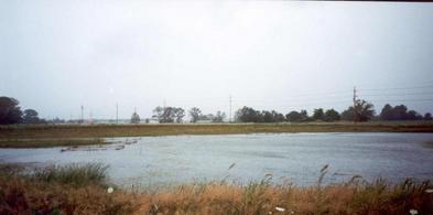 #1: July 25 - looking west at the confluence