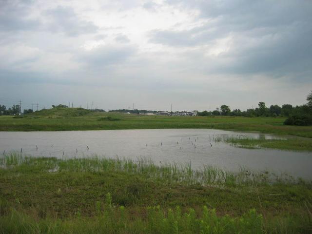 Looking West at the CP, which is in the water