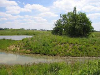 #1: General view of the confluence -- I think it's just beyond that tree.  (This is also the view "East")