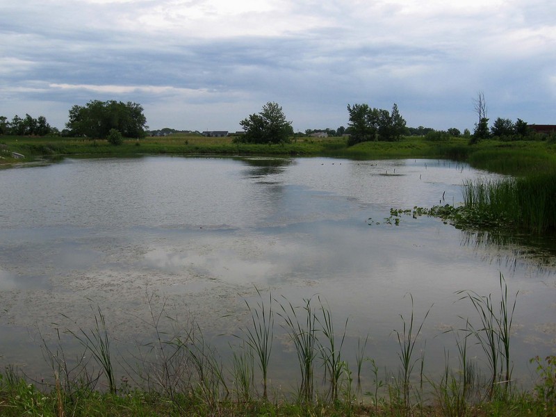 The confluence is 70 meters south across this pond/lake.