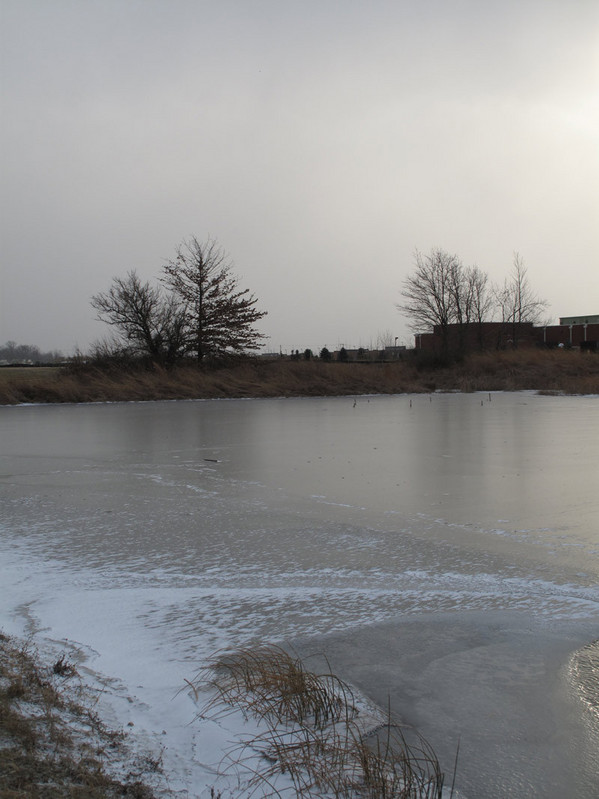 SW view of freezing lake