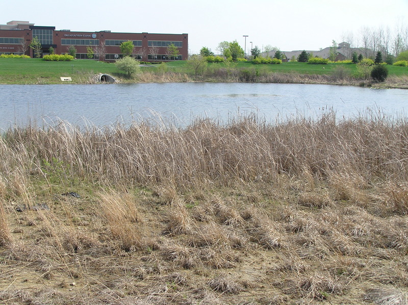 View of the confluence point, 3 meters or so from where the marsh meets the open water, in the center of the photograph.
