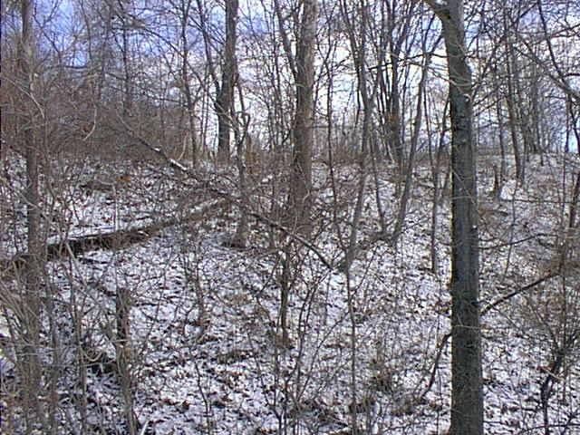 Looking east from the road and up the slope to where the confluence lies