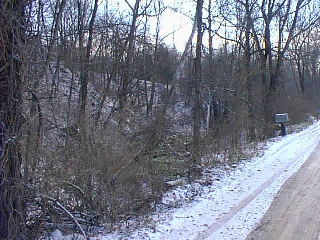 Looking southeast down a stream valley from the road