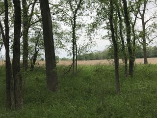 #1: Confluence of 40 North and 87 West, in the foreground, looking northwest.