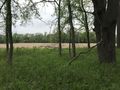 #4: View to the north from the confluence point. 