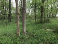 #6: View to the south from the confluence point. 