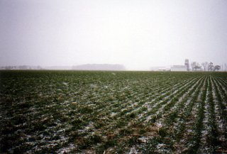 #1: Distant farmhouse from N41 W85