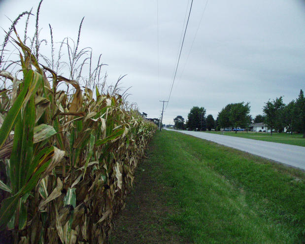 looking north from the confluence point