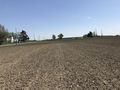 #6: View to the south from the confluence point. 