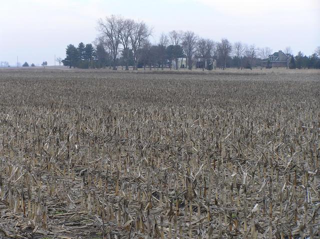 View to the north-northeast from the confluence showing the nearest farmhouse.