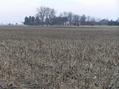 #8: View to the north-northeast from the confluence showing the nearest farmhouse.