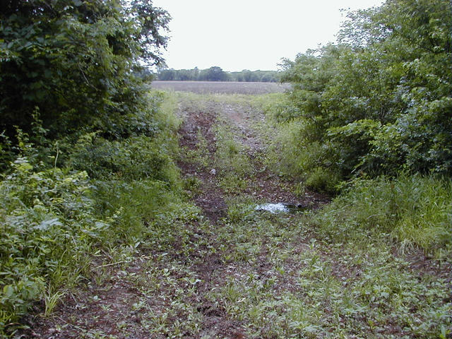 The creek where I stopped and slipped up the other side.