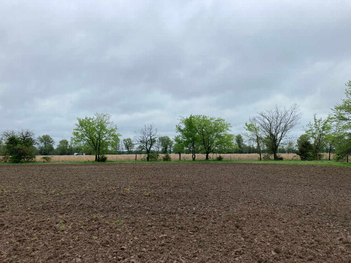 Looking south, at the KS/OK border