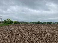 #2: Looking north from the confluence