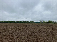 #3: Looking east