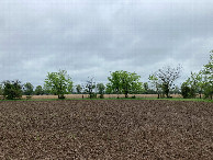 #4: Looking south, at the KS/OK border
