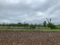 #5: Looking west