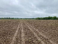 #7: Looking northeast up the straight-line vehicle track that led to the confluence