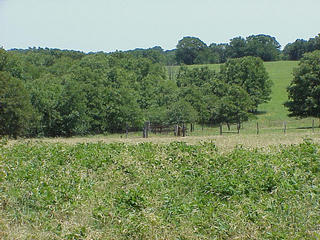 #1: Confluence is in the woods to the left of fence corner