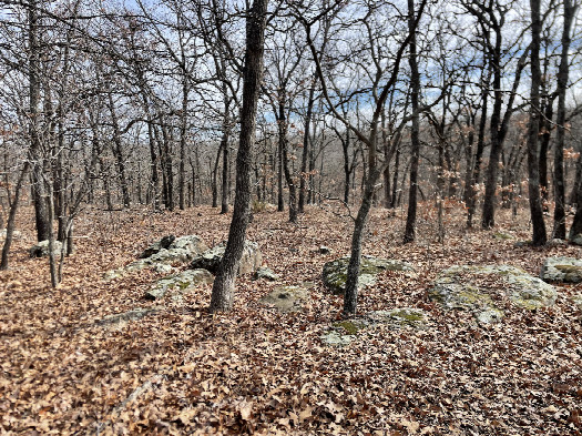 #1: View to the southeast, confluence in the foreground