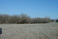 #2: Looking North to the confluence, within the grove of trees