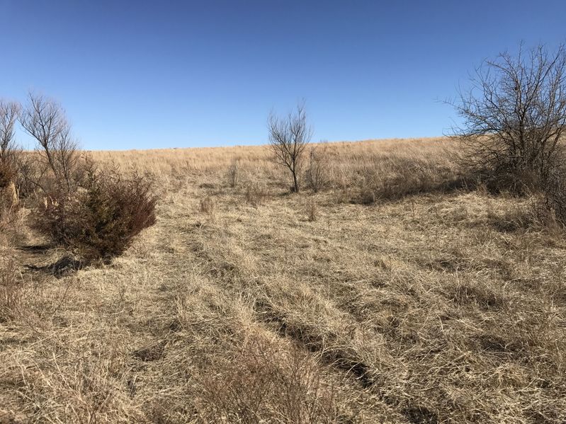 The confluence of 37 North 97 West:  View to the east.