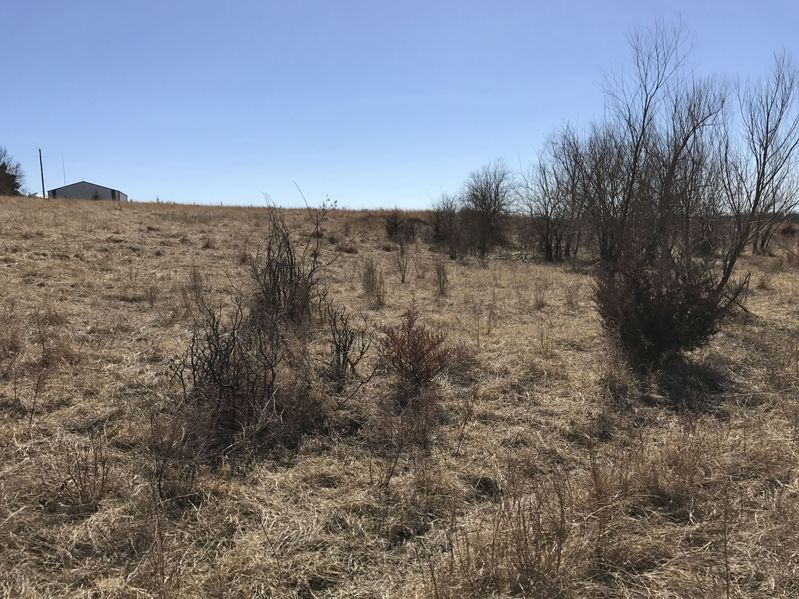 The confluence of 37 North 97 West:  View to the south, into Oklahoma.