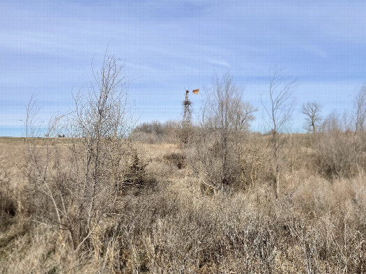 #1: View to the north, confluence in the foreground