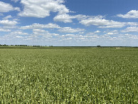 #5: View to the east from the confluence.