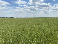 #6: View to the south from the confluence. 