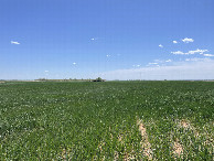 #4: View to the south