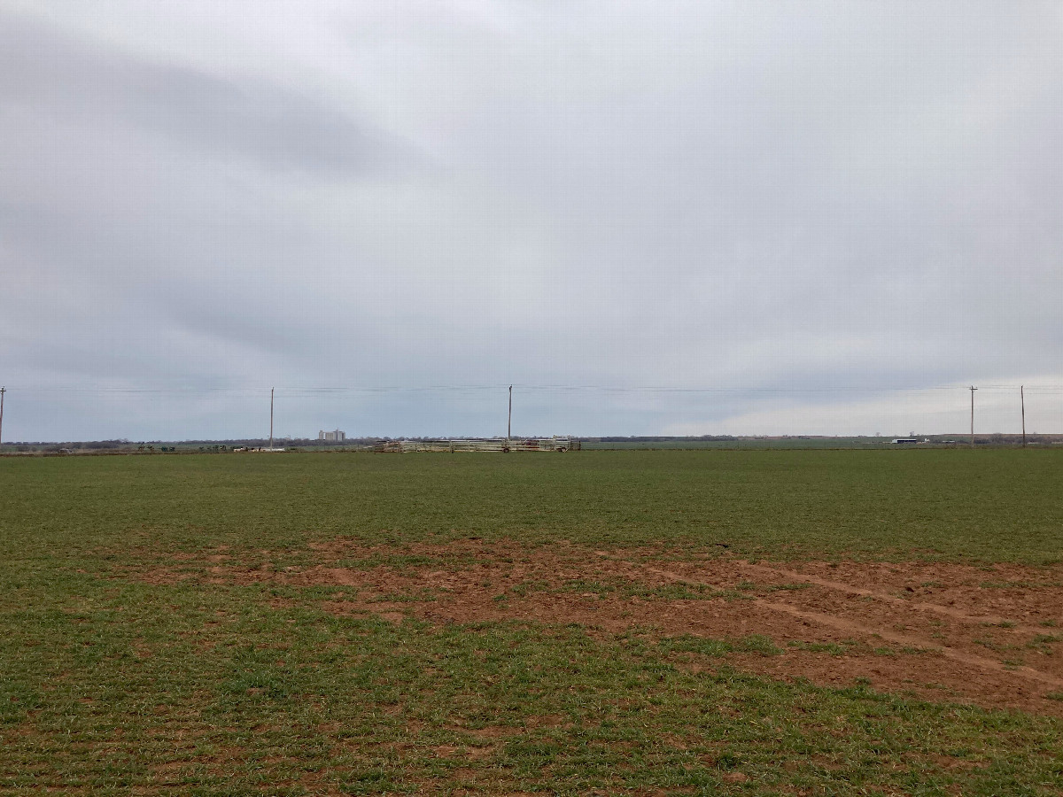 Looking west