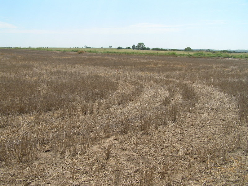 Looking from Kansas southeast into Oklahoma at 37 North 99 West, in the center foreground.