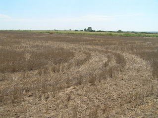 #1: Looking from Kansas southeast into Oklahoma at 37 North 99 West, in the center foreground.