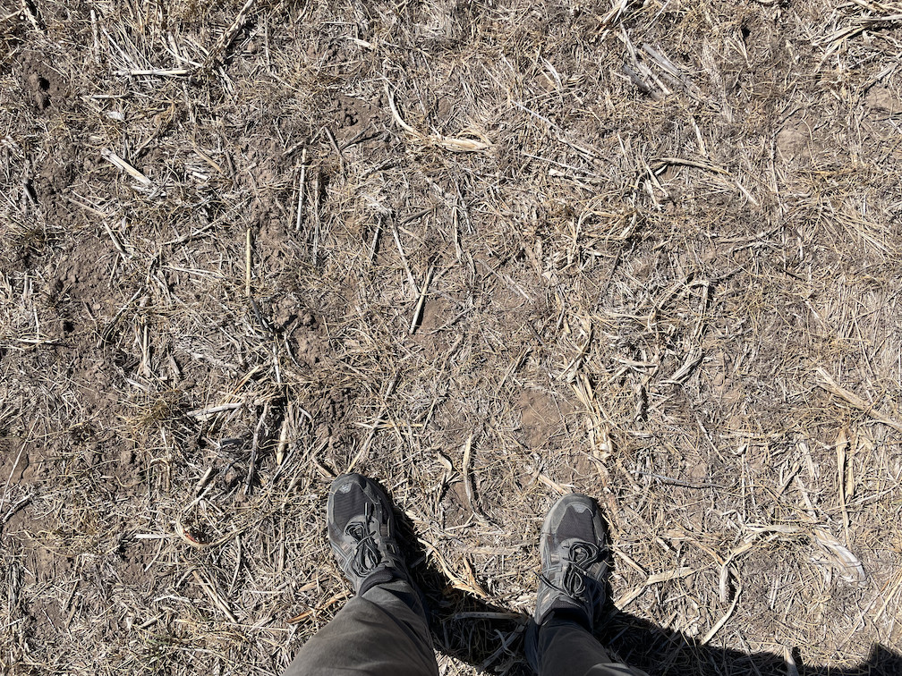 Ground cover