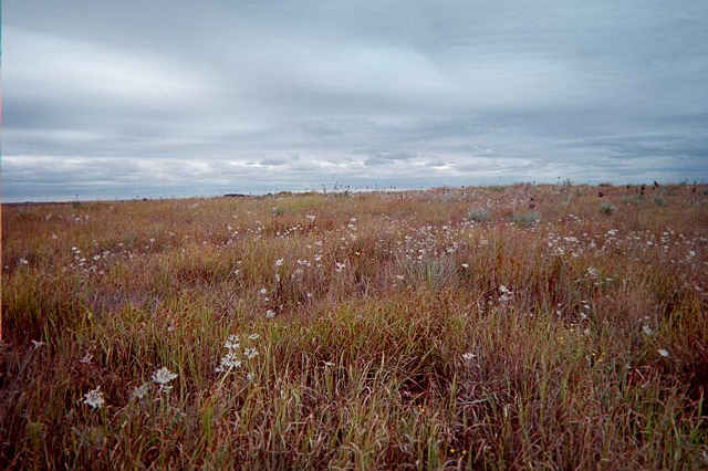 View to the north