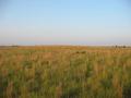 #4: View to the South