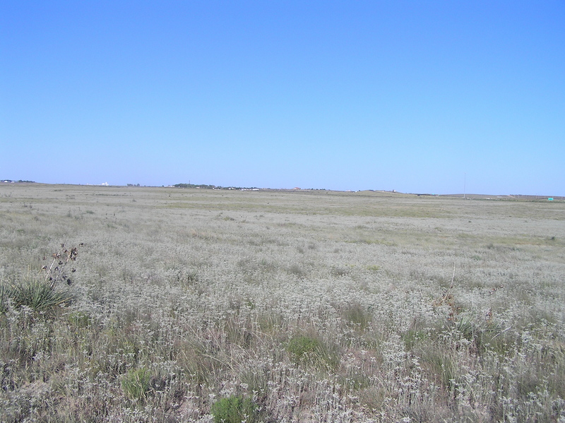 View to the east from the confluence.