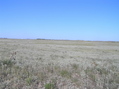 #4: View to the east from the confluence.