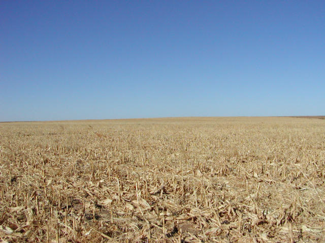 Looking west-northwest.